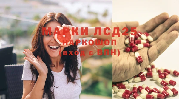 амф Алзамай