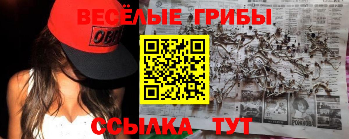 Галлюциногенные грибы GOLDEN TEACHER  Вход с VPN  Изобильный 